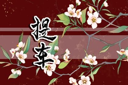 2025年05月05日提车好不好 是提车好日子吗