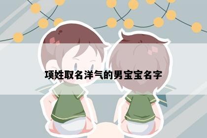 项姓取名洋气的男宝宝名字