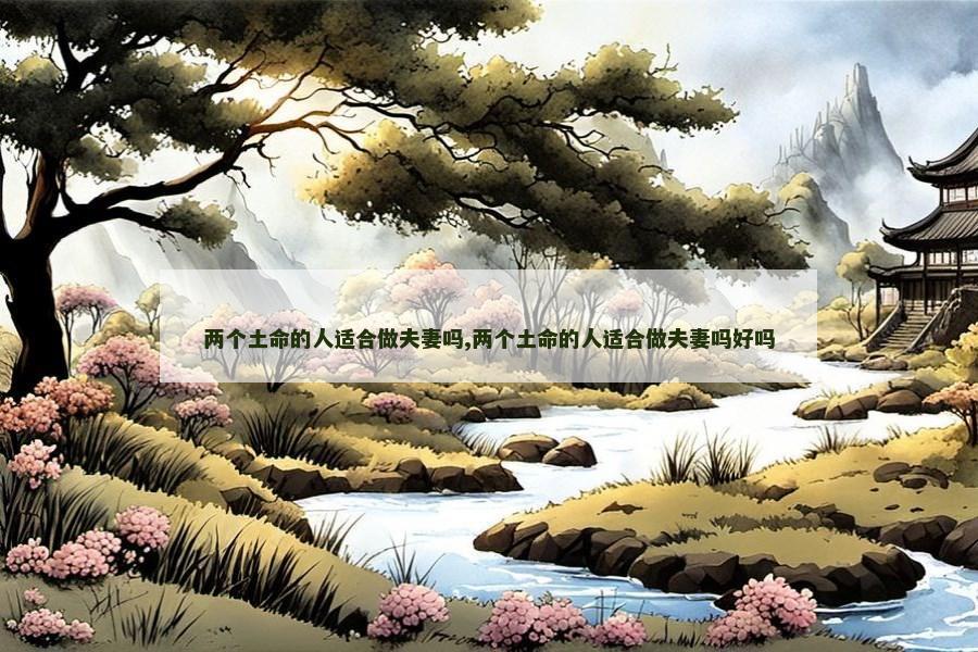 两个土命的人适合做夫妻吗,两个土命的人适合做夫妻吗好吗