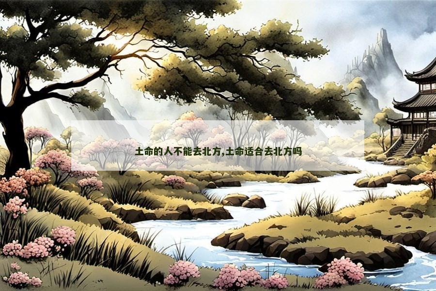 土命的人不能去北方,土命适合去北方吗