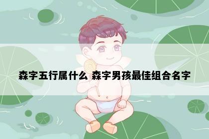 森字五行属什么 森字男孩最佳组合名字