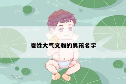 夏姓大气文雅的男孩名字