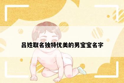 吕姓取名独特优美的男宝宝名字