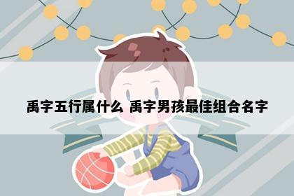 禹字五行属什么 禹字男孩最佳组合名字