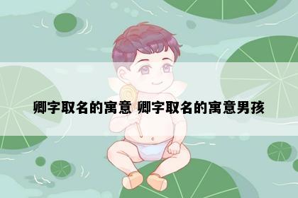 卿字取名的寓意 卿字取名的寓意男孩