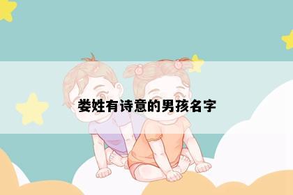 娄姓有诗意的男孩名字